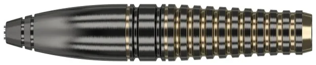 TEAM PRO MITSUMASA HOSHINO BRASS STEELの画像